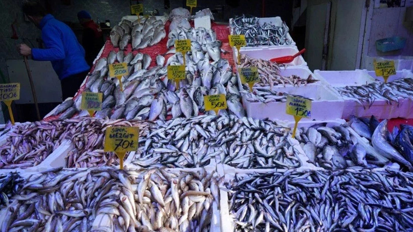 Balık Tezgahlarında Bolluk Yaşanıyor: Mezgit ve İstavrit Fiyatları Düştü!