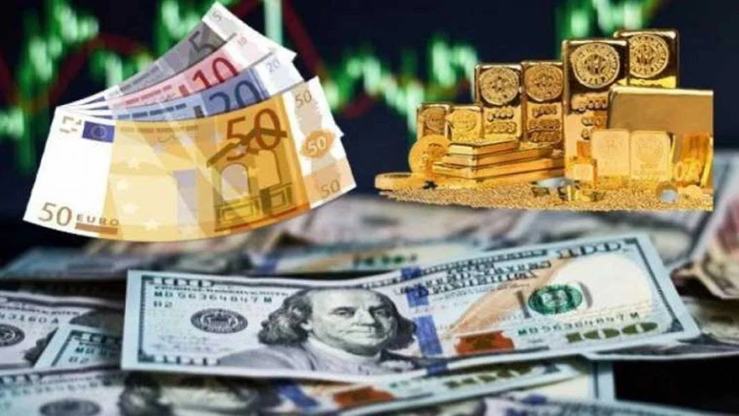 TÜİK Açıkladı: 2024'te En Çok Kazandıran ve Kaybettiren Yatırım Araçları Belli Oldu!