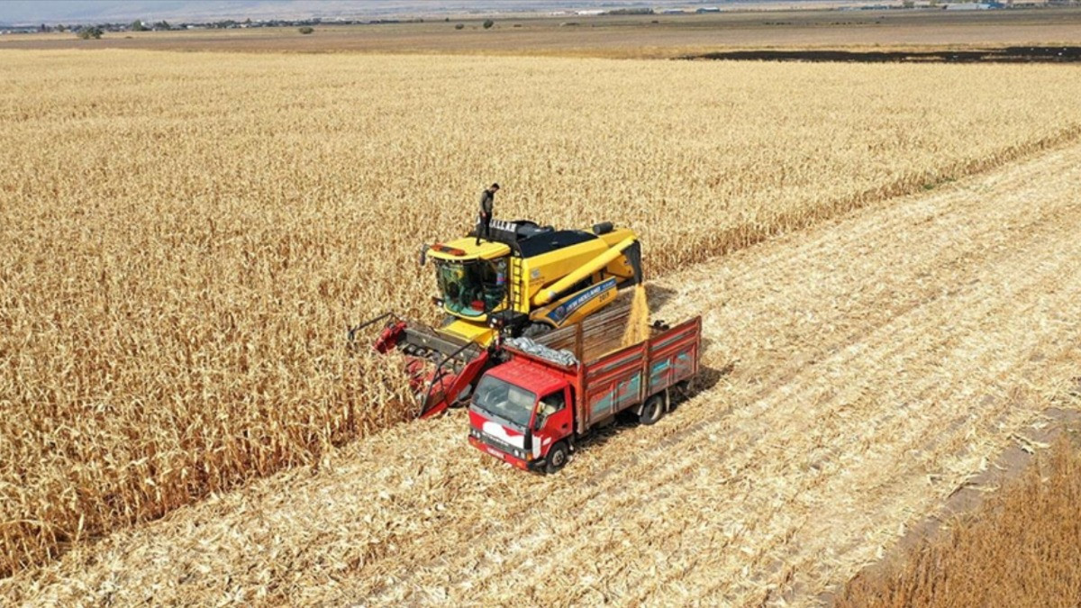 Tarımda Üretici Enflasyonu Ekim Ayında Yüzde 4 Yükselişle Rekor Kırdı!