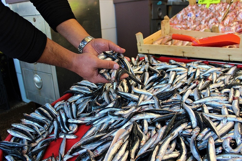 Karadeniz'de Hamsi Şöleni! Balıkçıların Yüzü Gülüyor: Ucuz ve Bol Hamsi Vatandaşı Da Sevindirdi!