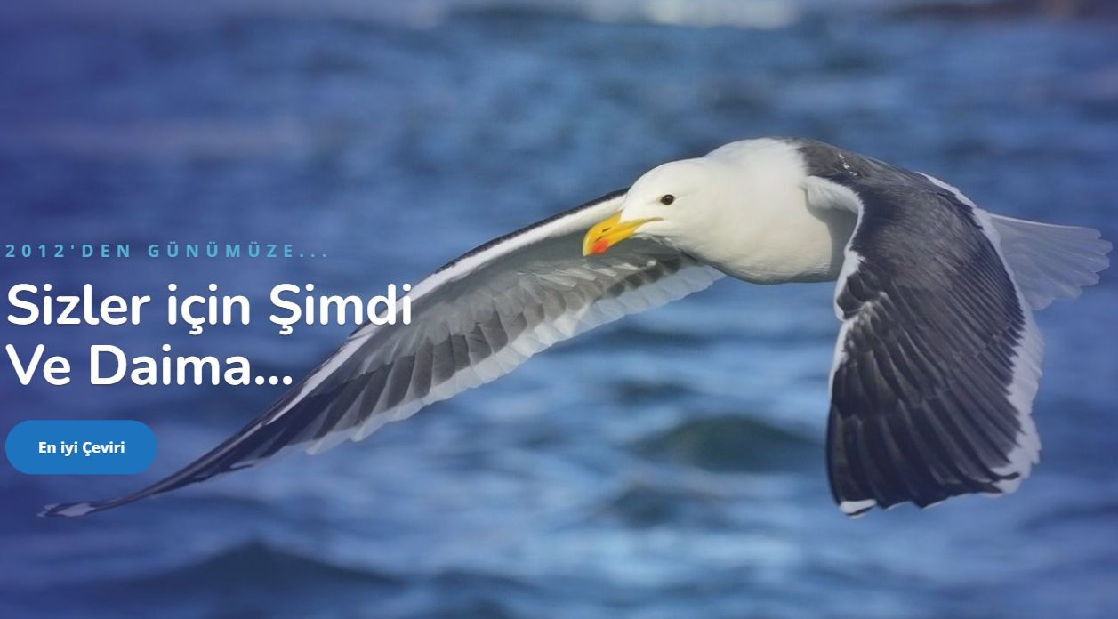  Türkçe Arapça Çeviri Fiyatları 2026: Karakter ve Sayfa Bazlı Ücretlendirme