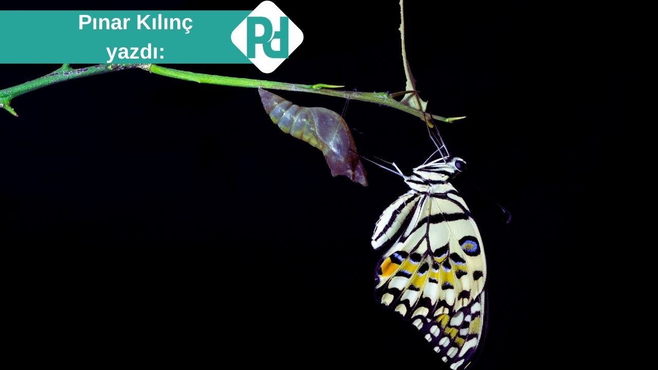 Tutundukça Ağırlaşan Şeyler