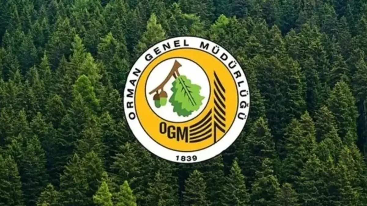 OGM 496 Sözleşmeli Personel Alımı Başvuruları Ne Zaman Bitiyor? İşte Tüm Kadro Dağılımı ve Şartlar!