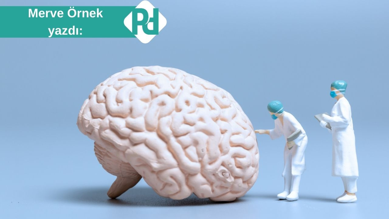 BDNF ve Beyin Sağlığı: Egzersizle Güçlendirilen Zihinsel Esneklik