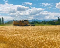 O İlde Yaşayan Çiftçilere Müjde! 903 Milyon TL Destekleme Ödemesi Yapılacak!