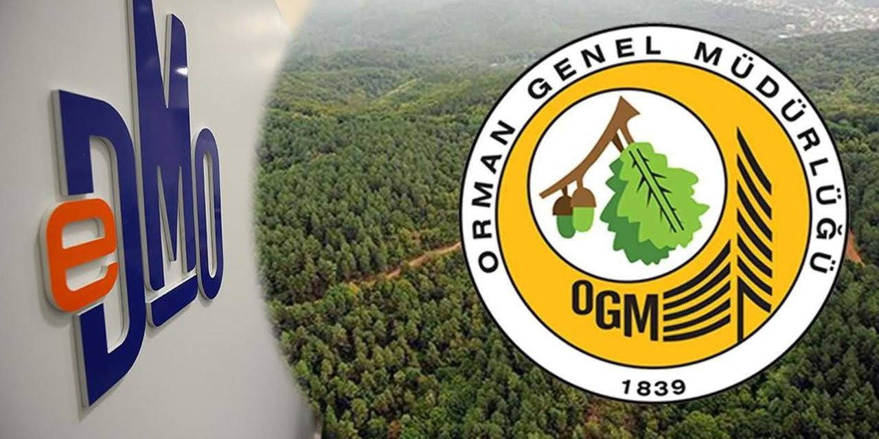 OGM ve DMO Personel Alımı Başladı: İşte Kontenjan Detayları ve Başvuru Şartları