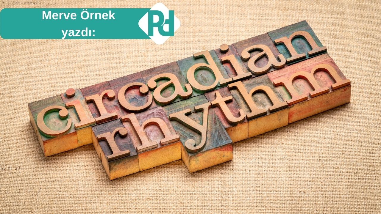 Mavi Işık Pandemisi