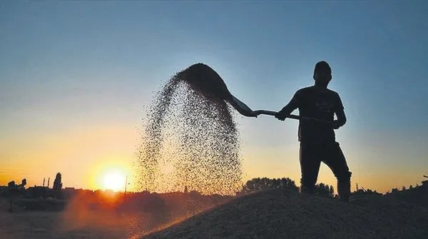 Mevsimlik İşçi Kıdem ve İhbar Tazminatı Alabilir mi? İşte Mevsimlik İşçi Sözleşme Detayları....