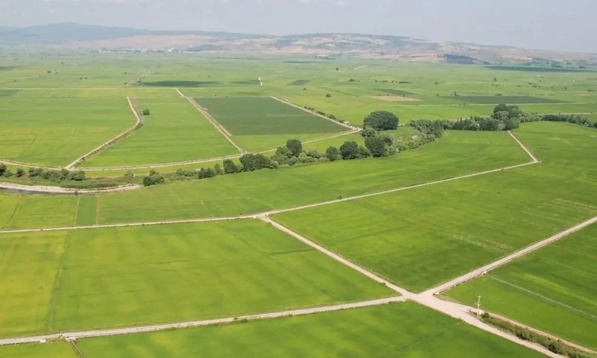 Resmi Gazete'de Yayımlanan İlanla 5 İlde Arsa Satışı Yapılacağı Duyuruldu! İşte Ödeme Detayları…