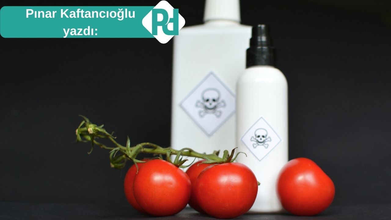 Türkiye'de Pestisit İşleri