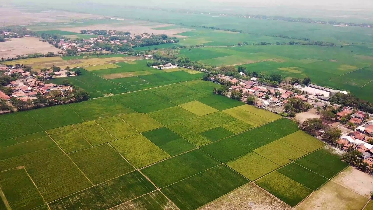 Tarlası Olanlar Dikkat: 2 Yıl Boş Bırakanın Arazisini Bakanlık Kiraya Verecek! İşte Detaylar...