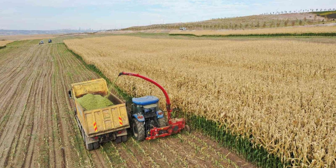 Çiftçiye ve Kırsal Kalkınmaya 2 Milyar TL Geri Ödemesiz Hibe Desteği Başladı!