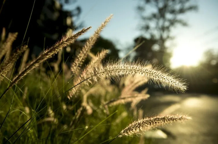 2026 Cemre Takvimi: İlk Müjdesi Havaya Ne Zaman Düşecek? İşte Adım Adım Doğa Takvimi!