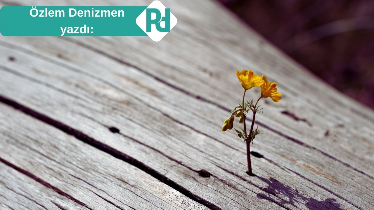 Çok Yalnızım, Ya Sen?