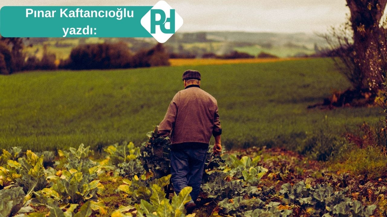 25 Senedeki Değişim