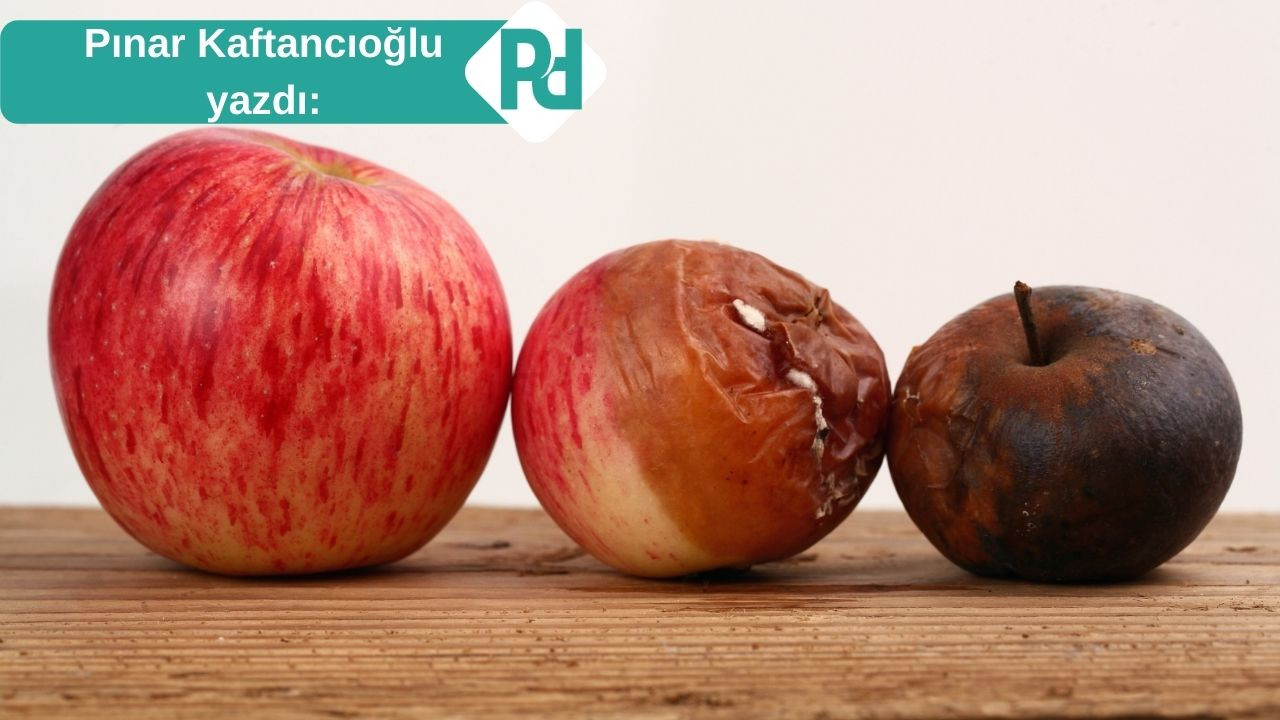 Canlı Gıda Meselesi