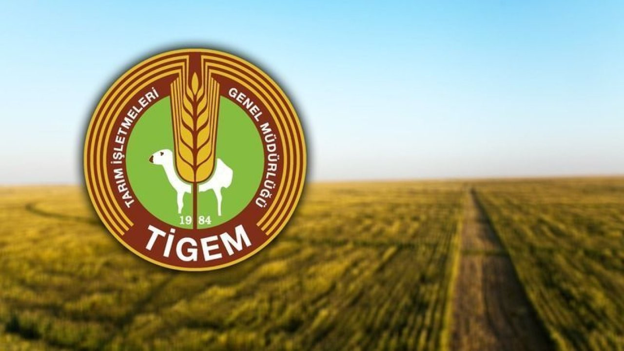 TİGEM 254 İşçi Alımı Sonuçları Açıklandı mı? 2026 İŞKUR Personel Alımı Kura ve Sonuç Sorgulama Ekran