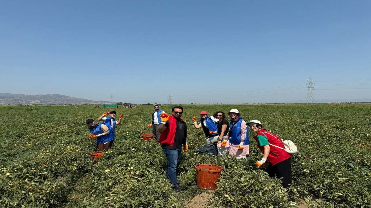 Gençlik ve Spor Bakanlığı 2026 Gönüllü Hasat Etkinliği Takvimini Duyurdu: 81 İlde Dev Proje Başlıyor