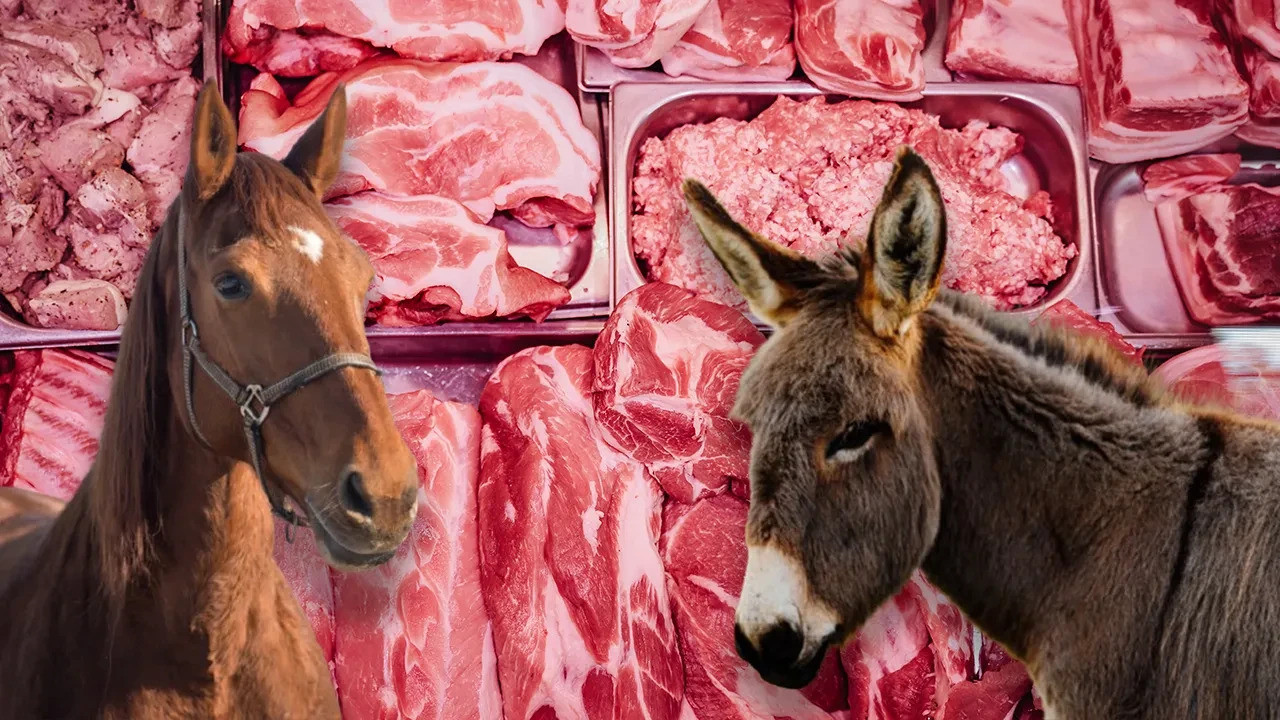 At ve Eşek Eti Skandalı: Bakanlık İfşa Etti, O Şehir Yine Listede!