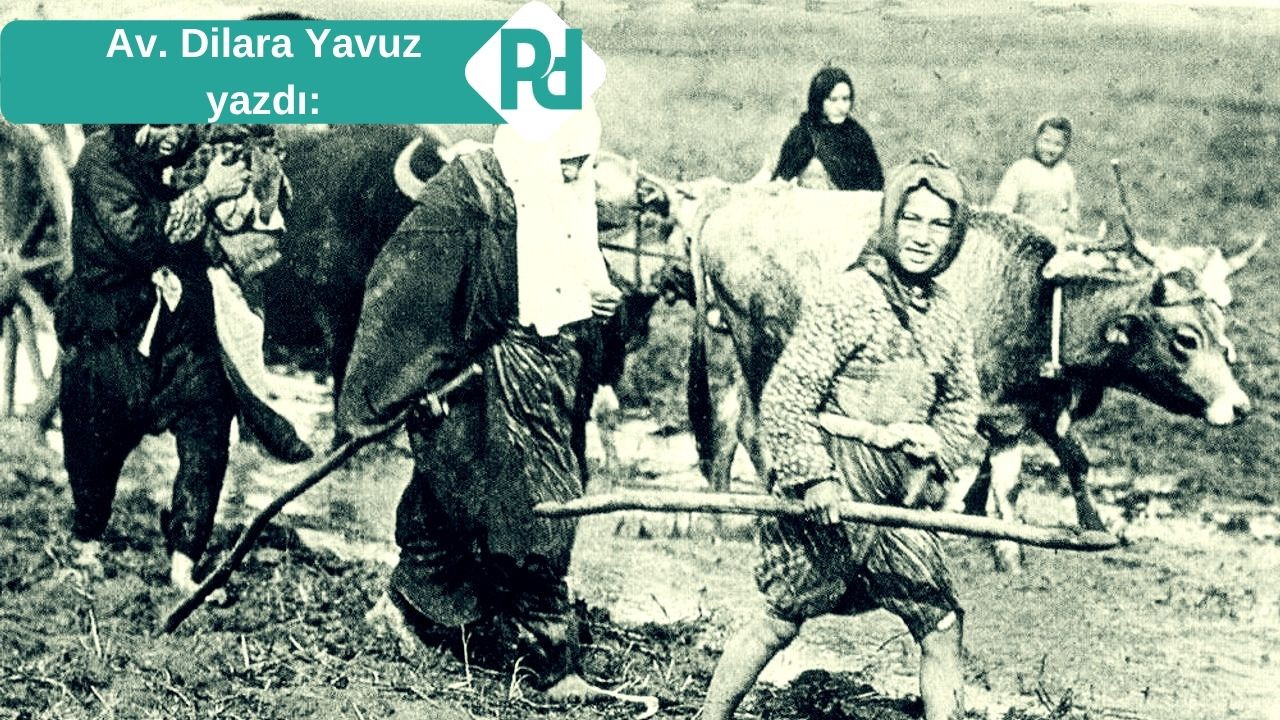 Medeniyetin Sessiz Ölçüsü