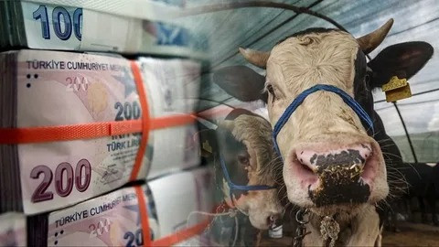Kurban Kesmenin Maliyeti Sadece Hayvan Fiyatı Değil: Ek Masraflar Dudak Uçuklatıyor!