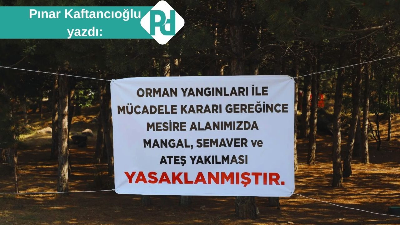 Suç ve Ceza
