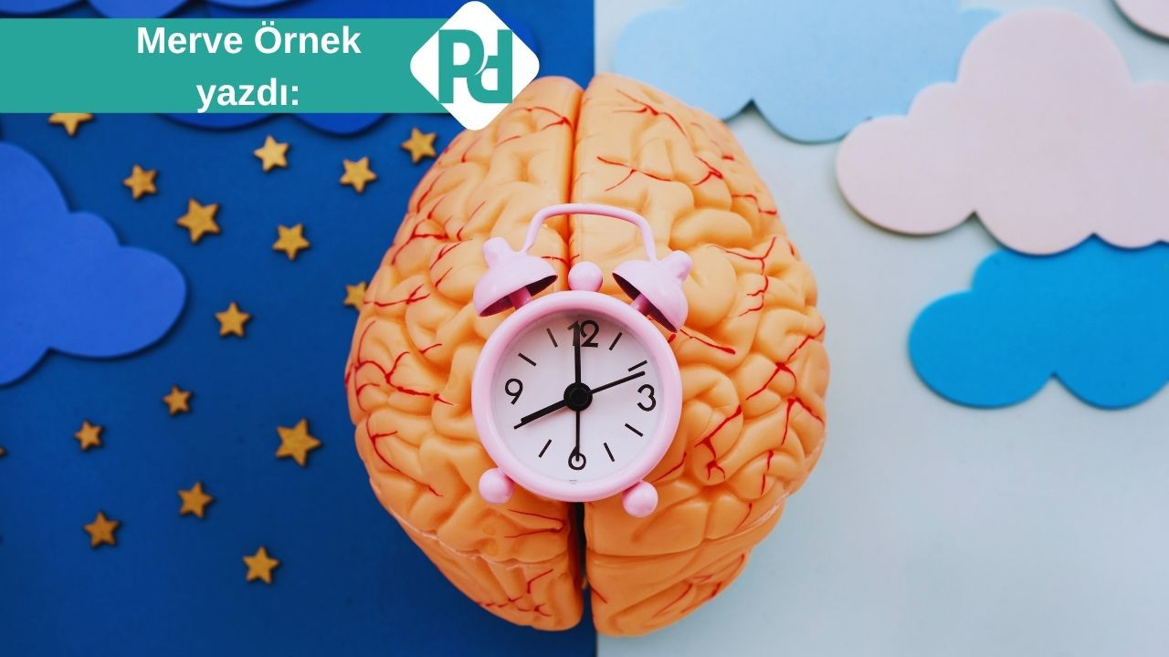 Beynimizin Gece Vardiyasında Çalışan Temizlik Ekibi: Glifatik Sistem