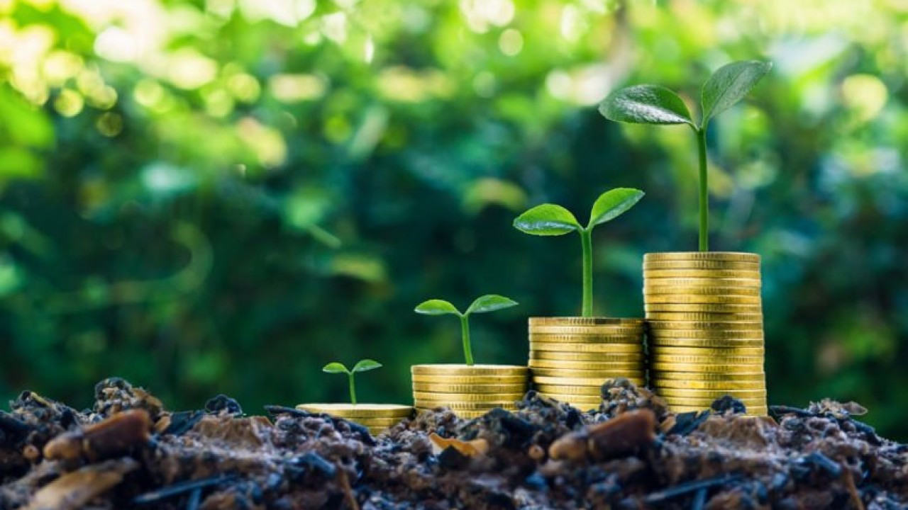 Ulusal Yeşil Finans Stratejisi ve Eylem Planı (2026-2029) Yayımlandı
