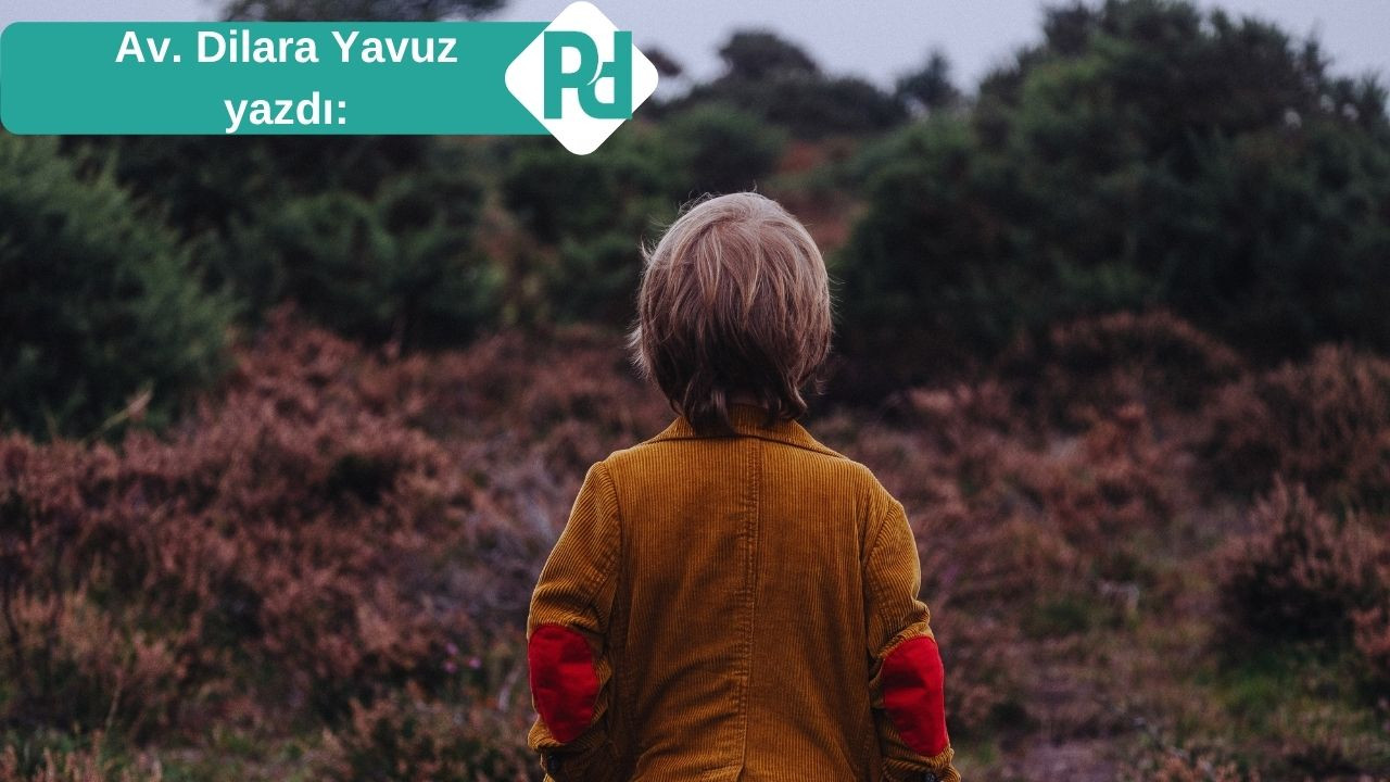 Ağacın Hukuku Var mıdır?