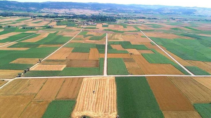 İşlenmeyen Tarım Arazilerinde Yeni Dönem: Kiralama Süreci Başladı