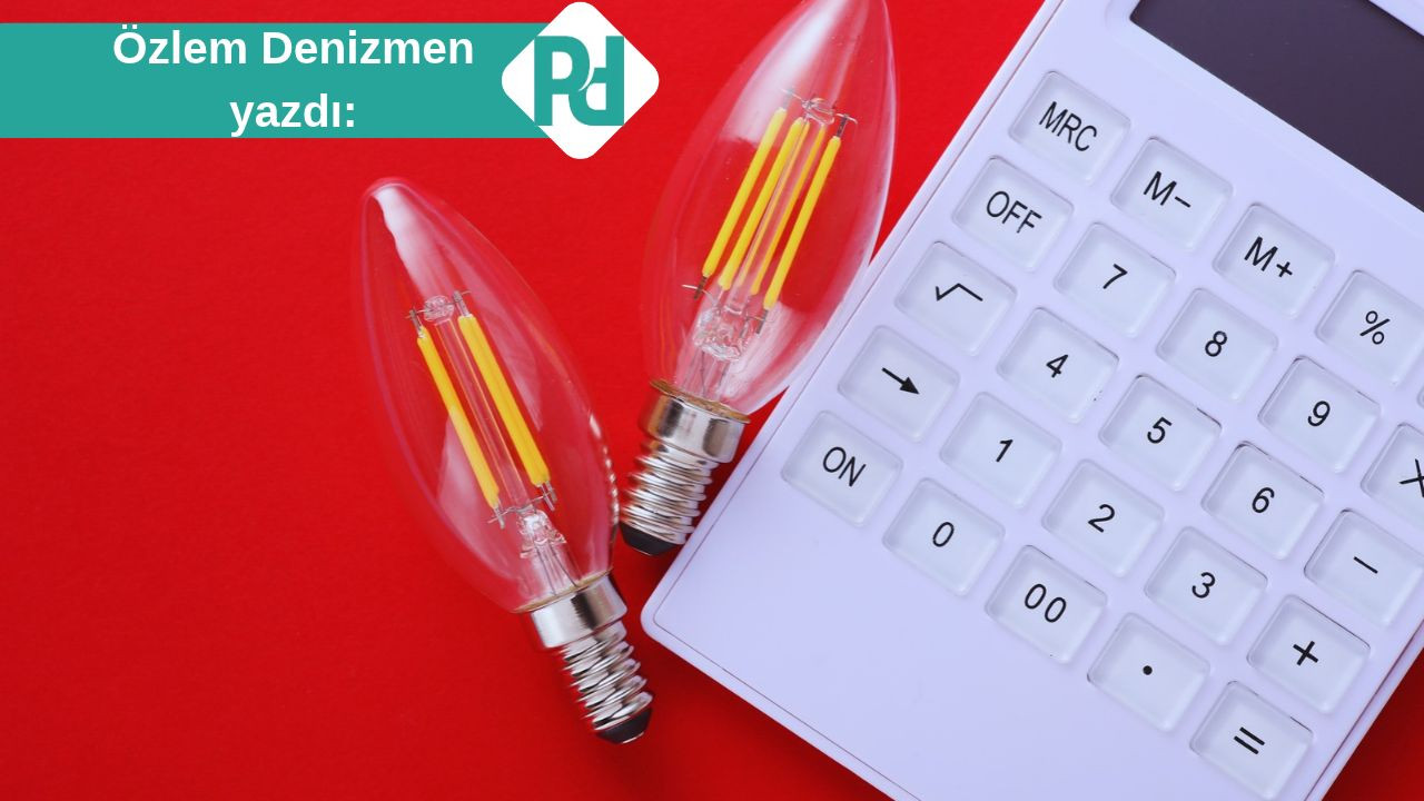 Elektrik Faturası Ne Anlatıyor?