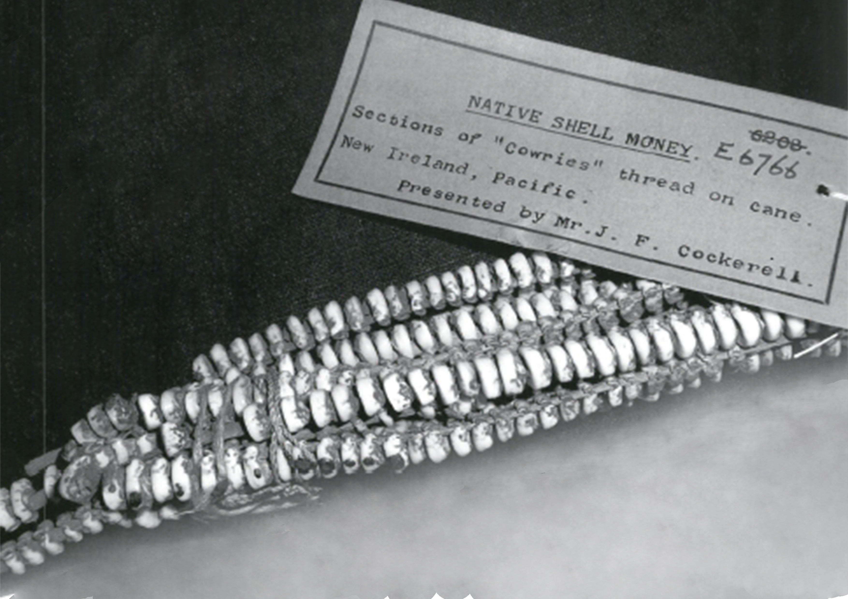 Bu Para Hem Müzede Hem Pazarda